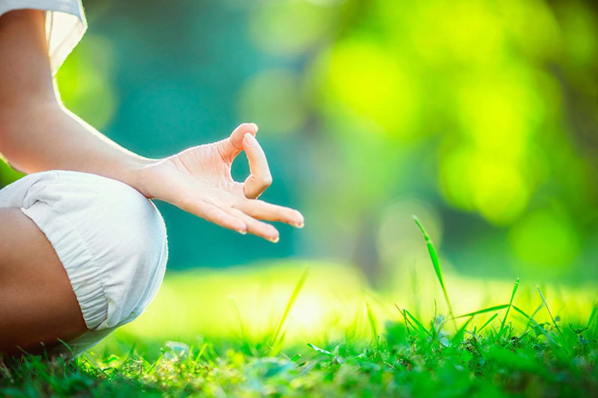 medium meditacion en bosque